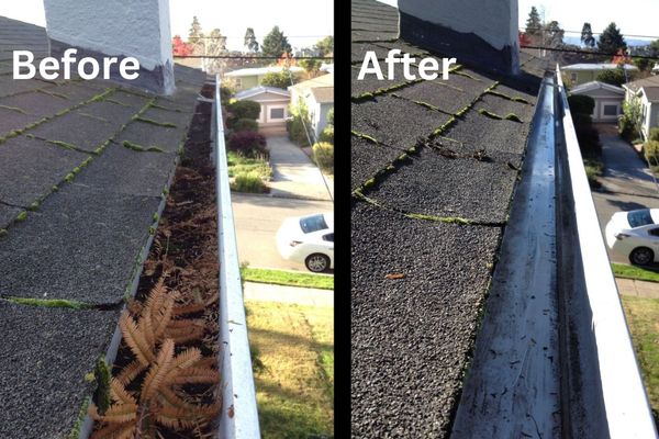 Rainier Roof Restoration