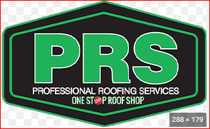 Professional Roofing Services